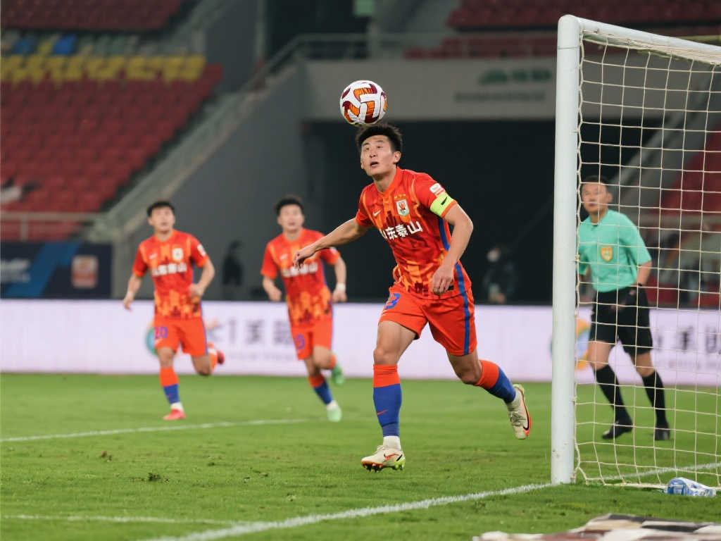 的职业生涯 的职业生涯